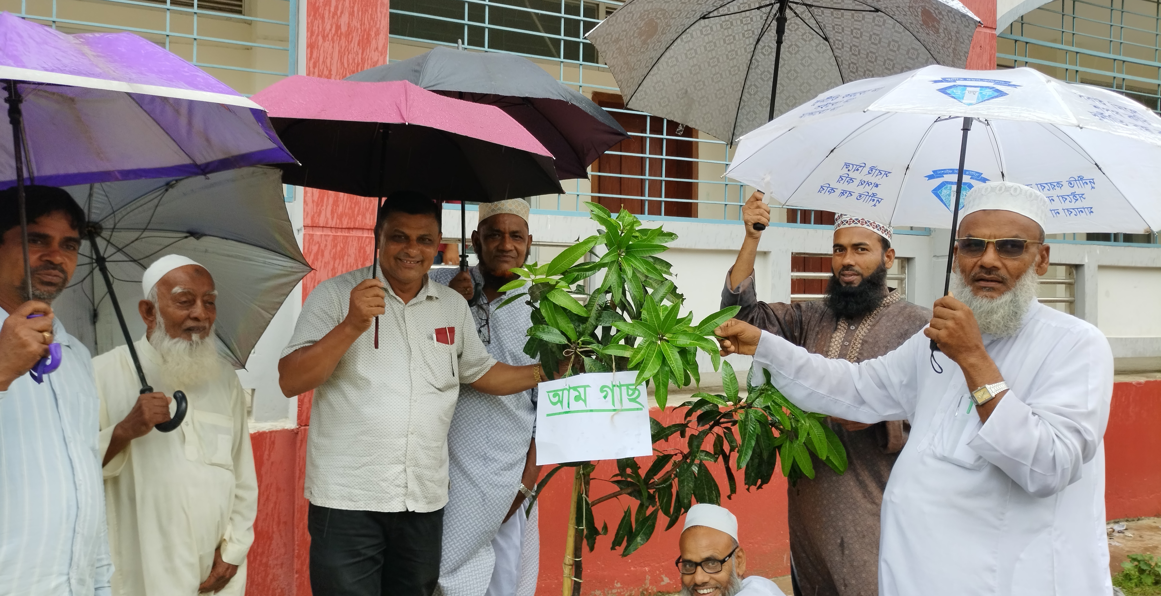 MANGO TREE PLANTATION